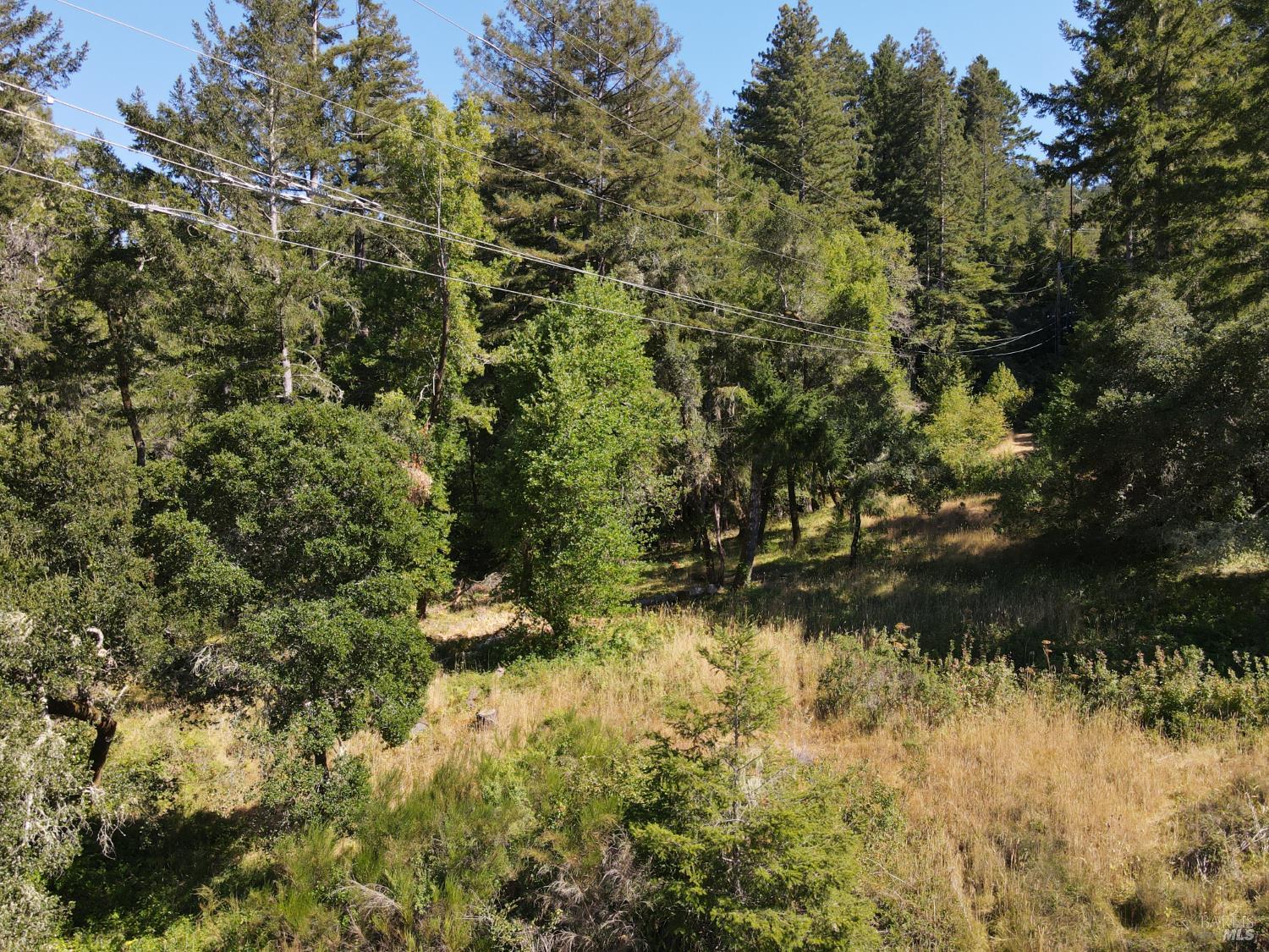 Detail Gallery Image 10 of 17 For 1 Meadow View Ln, San Geronimo,  CA 94963 - – Beds | – Baths