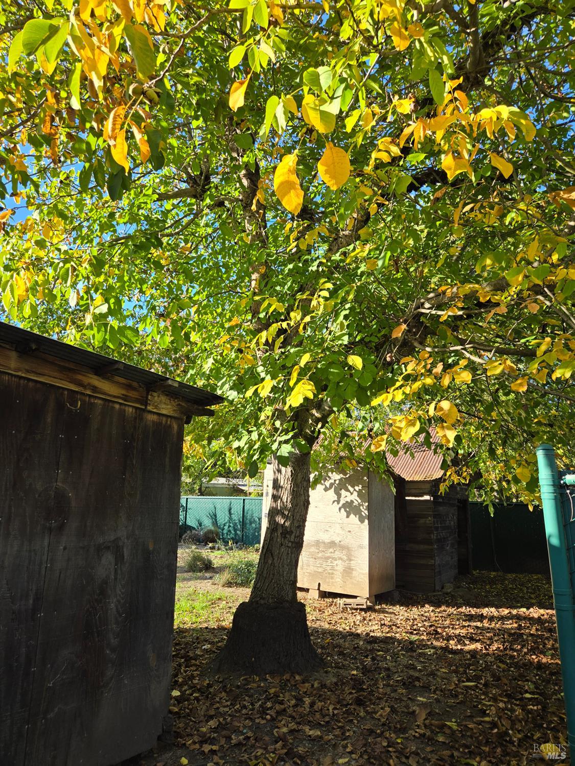 Detail Gallery Image 23 of 23 For 454 Della Ave, Willits,  CA 95490 - 3 Beds | 1/1 Baths