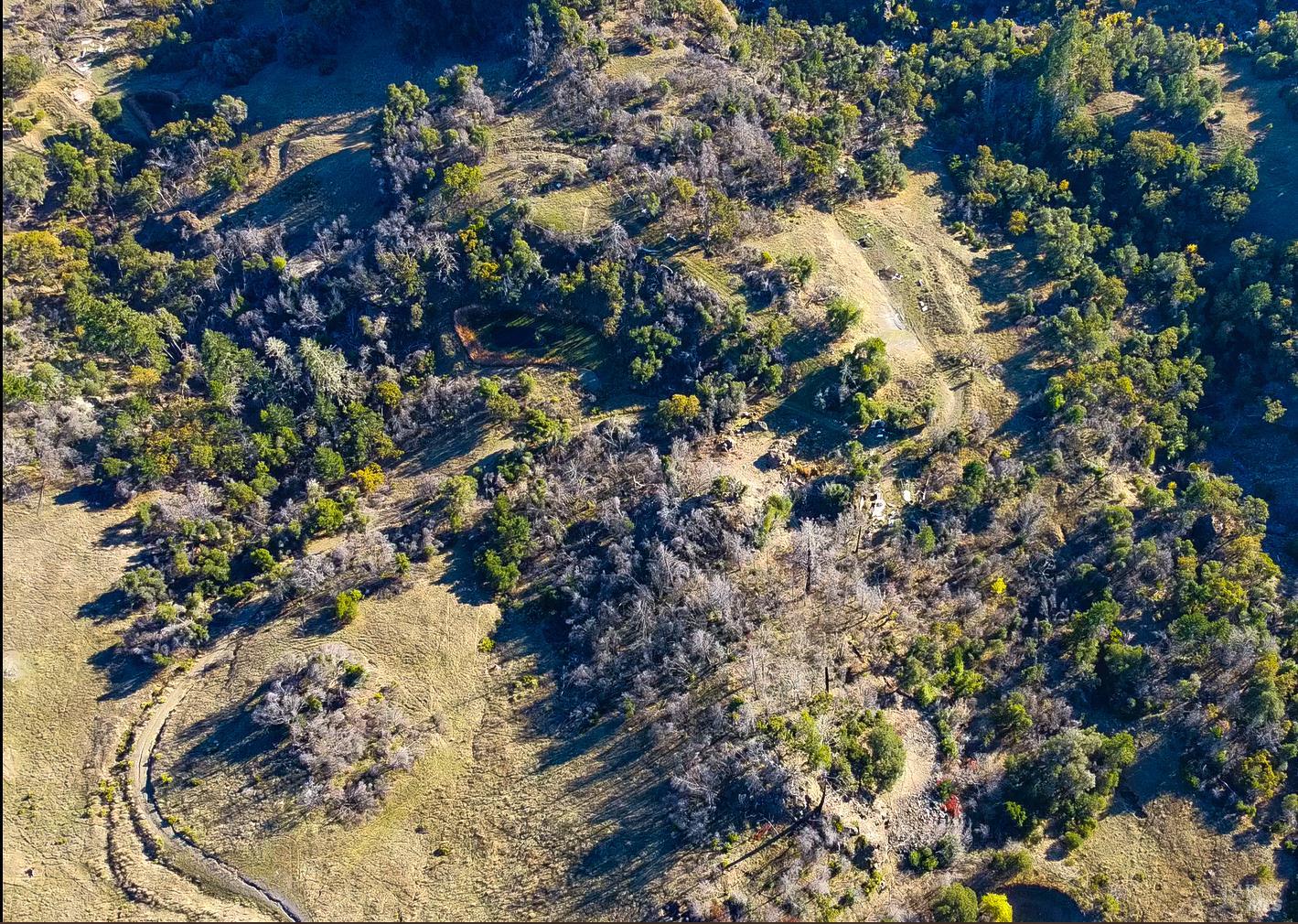 Detail Gallery Image 8 of 16 For 9501 Big John Rd, Willits,  CA 95490 - – Beds | – Baths