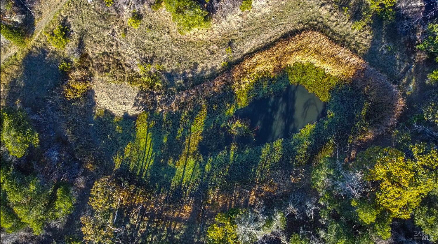 Detail Gallery Image 10 of 16 For 9501 Big John Rd, Willits,  CA 95490 - – Beds | – Baths