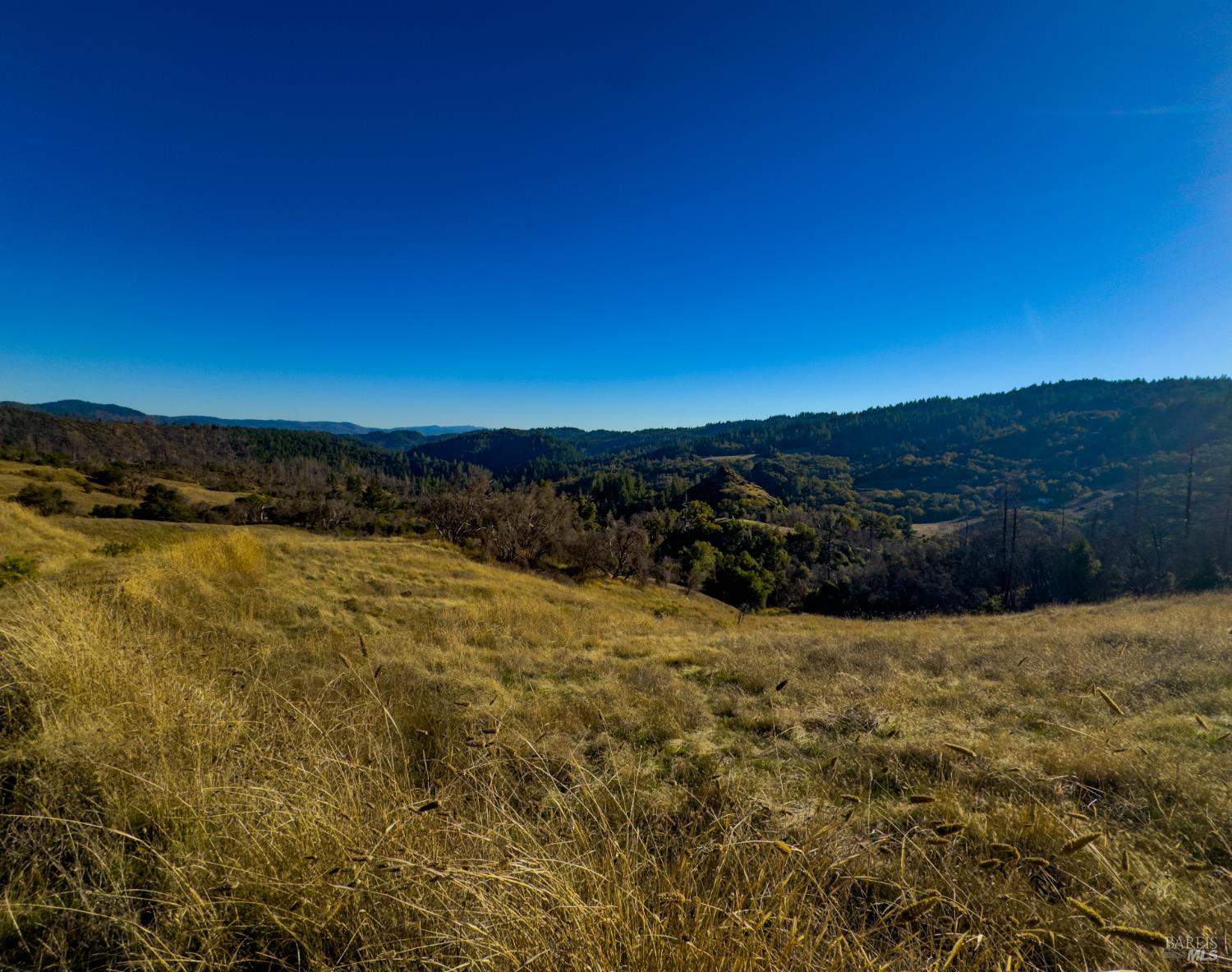 Detail Gallery Image 13 of 16 For 9501 Big John Rd, Willits,  CA 95490 - – Beds | – Baths