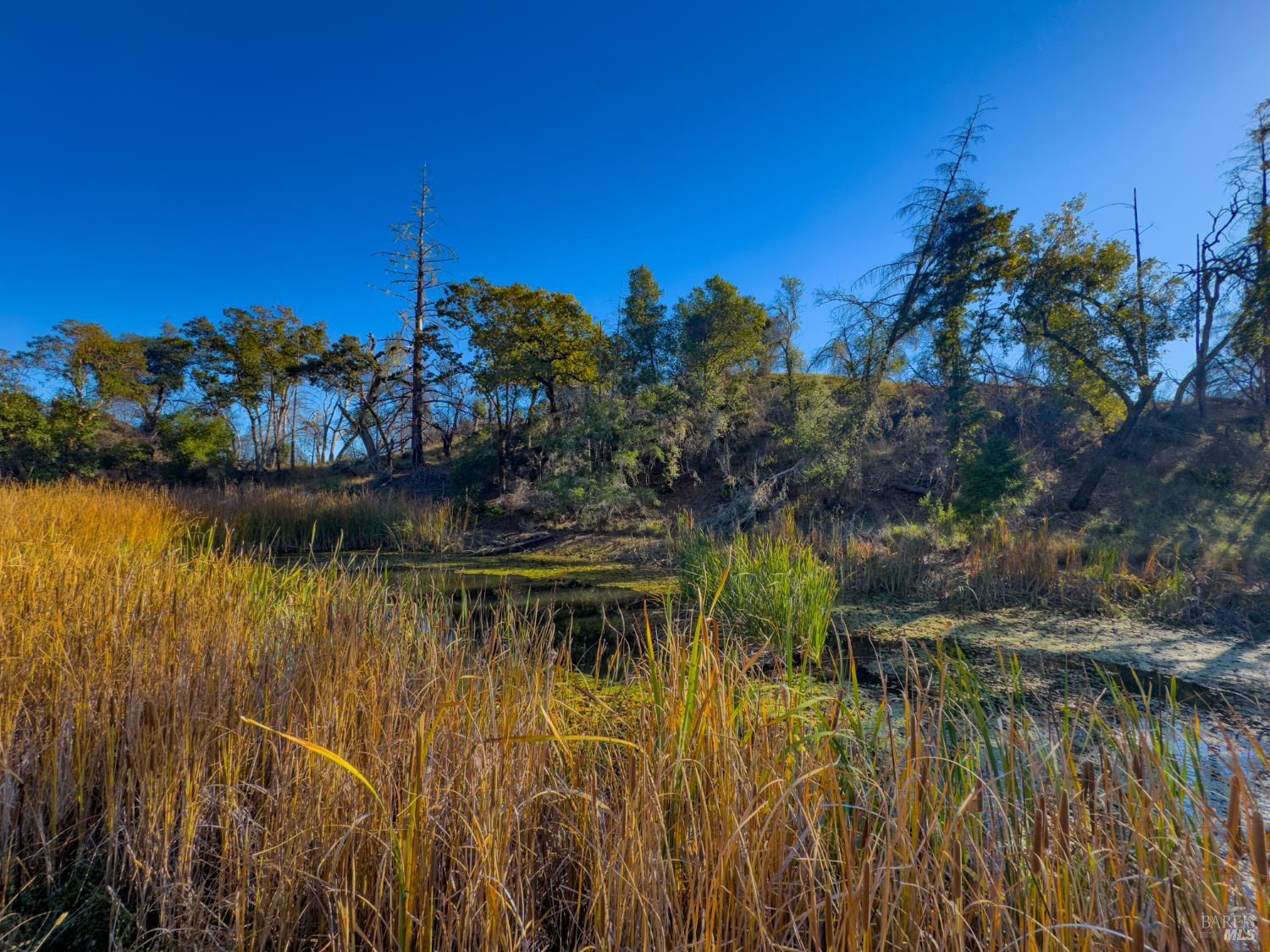 Detail Gallery Image 11 of 16 For 9501 Big John Rd, Willits,  CA 95490 - – Beds | – Baths