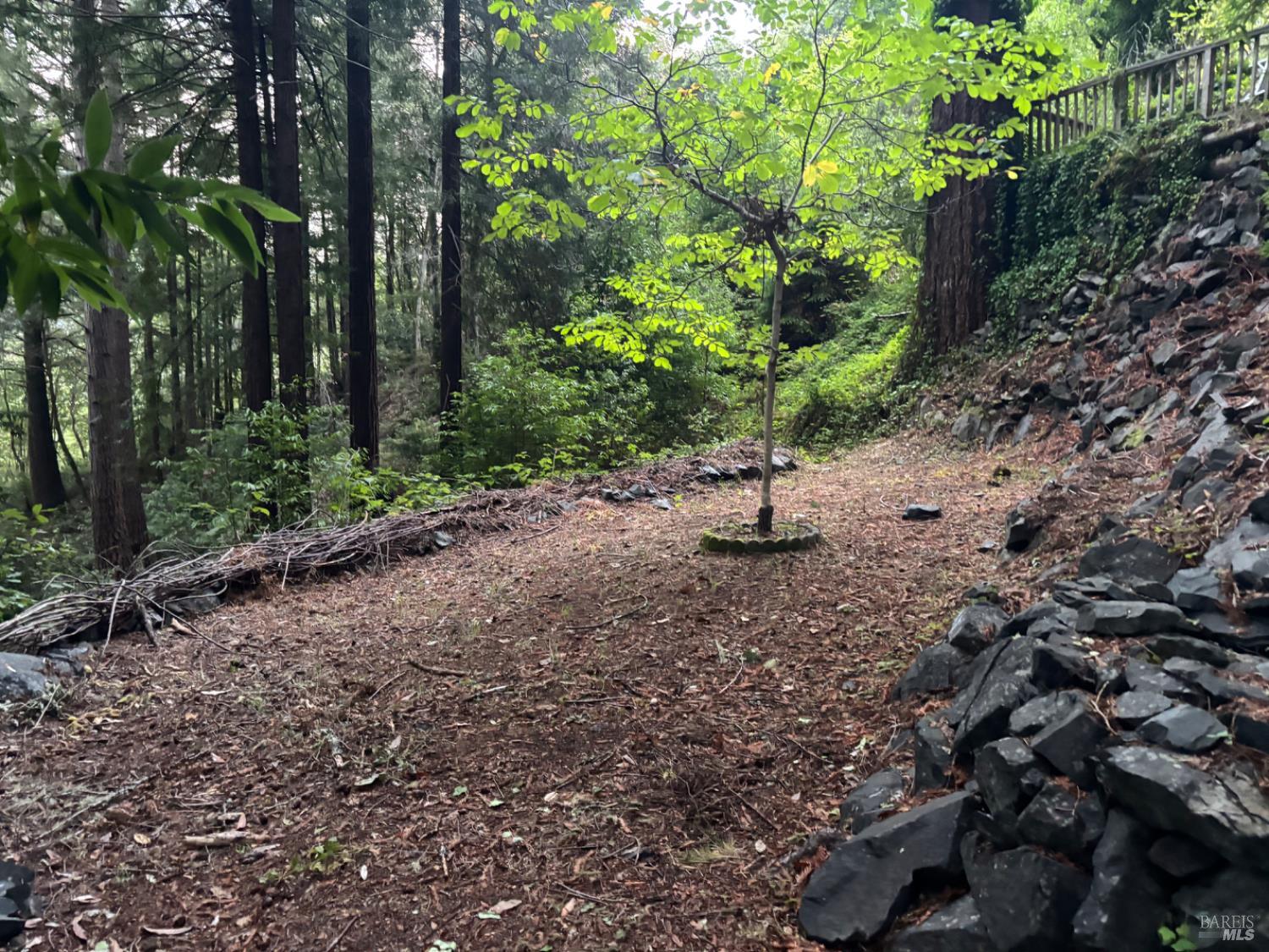 Detail Gallery Image 66 of 77 For 11 Huckleberry Hts, Cazadero,  CA 95421 - 2 Beds | 3 Baths