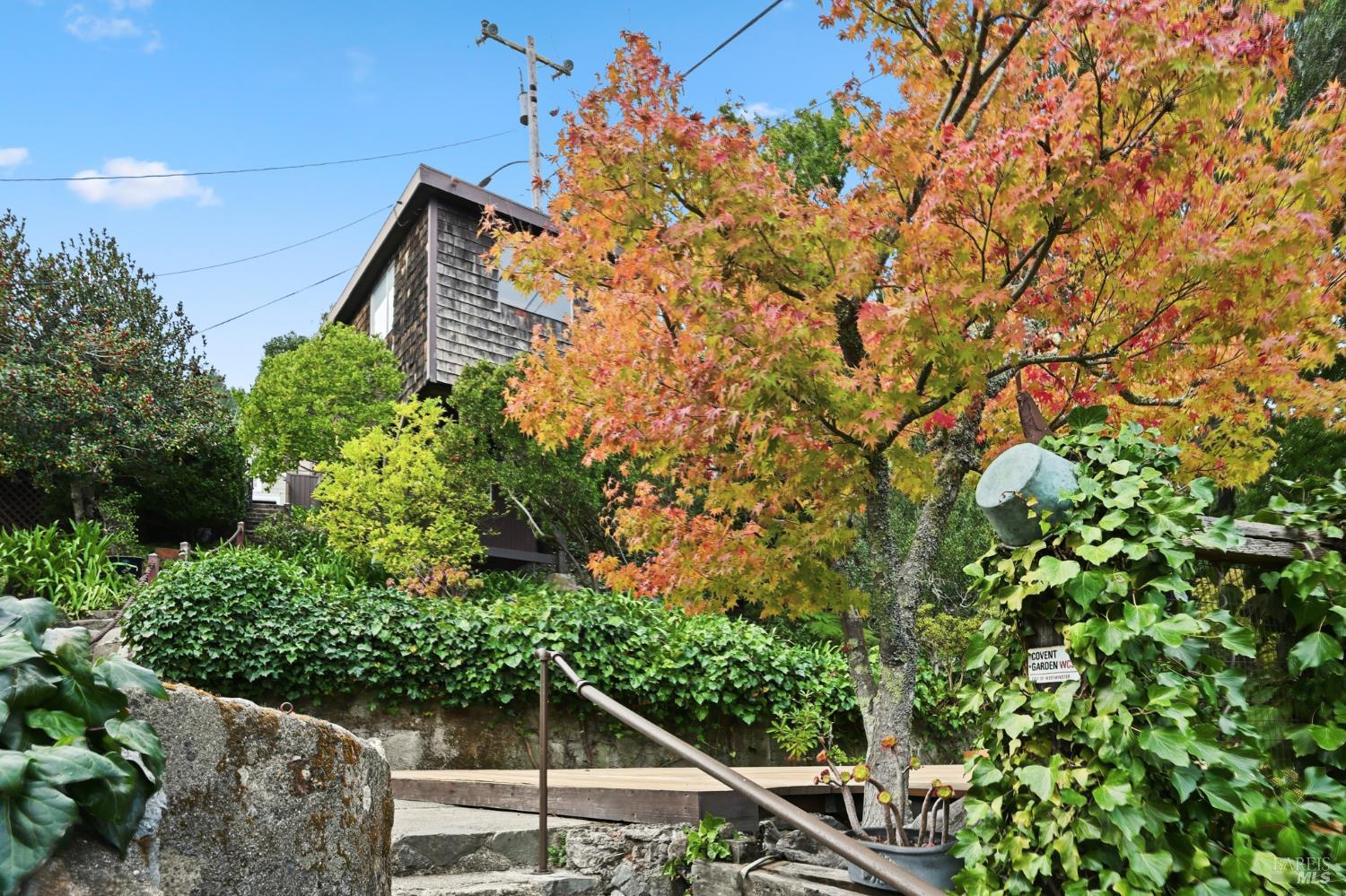 Detail Gallery Image 35 of 43 For 666 Redwood Ave, Corte Madera,  CA 94925 - 3 Beds | 2 Baths