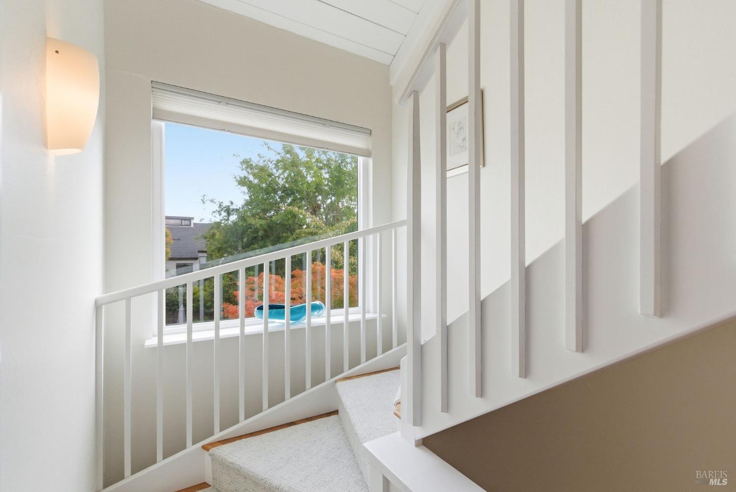 Detail Gallery Image 37 of 47 For 52 Park Ter, Mill Valley,  CA 94941 - 2 Beds | 1/1 Baths