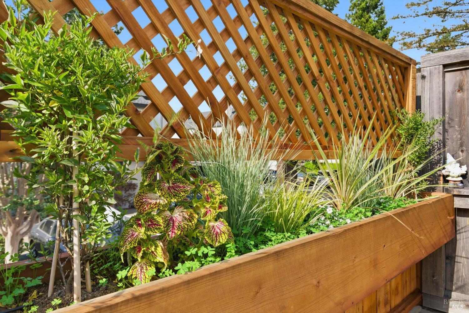 Detail Gallery Image 15 of 47 For 52 Park Ter, Mill Valley,  CA 94941 - 2 Beds | 1/1 Baths