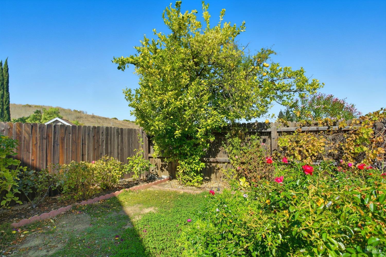 Detail Gallery Image 19 of 43 For 2420 Top Gallant Ct, Fairfield,  CA 94534 - 4 Beds | 2/1 Baths