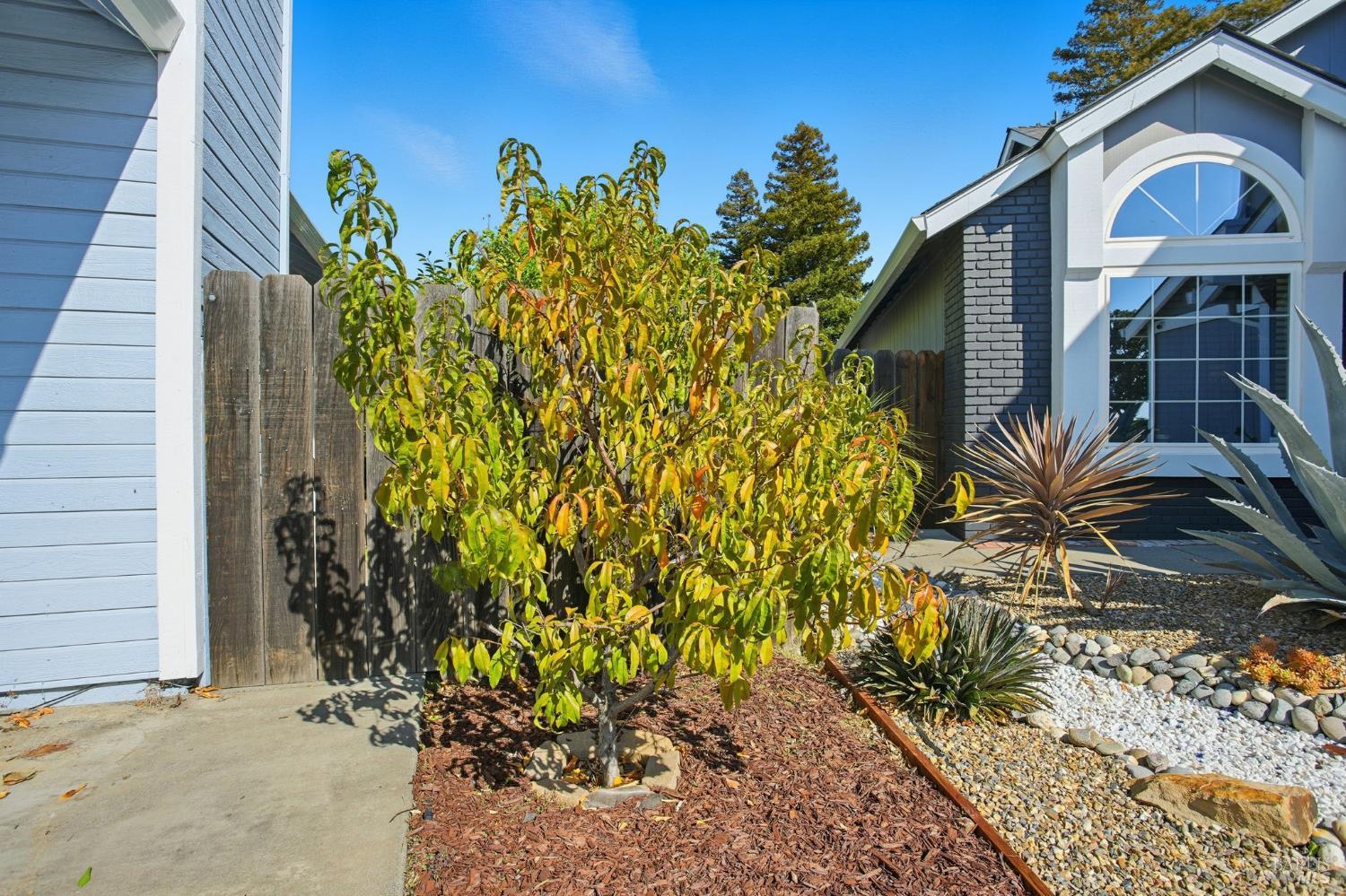 Detail Gallery Image 4 of 43 For 2420 Top Gallant Ct, Fairfield,  CA 94534 - 4 Beds | 2/1 Baths
