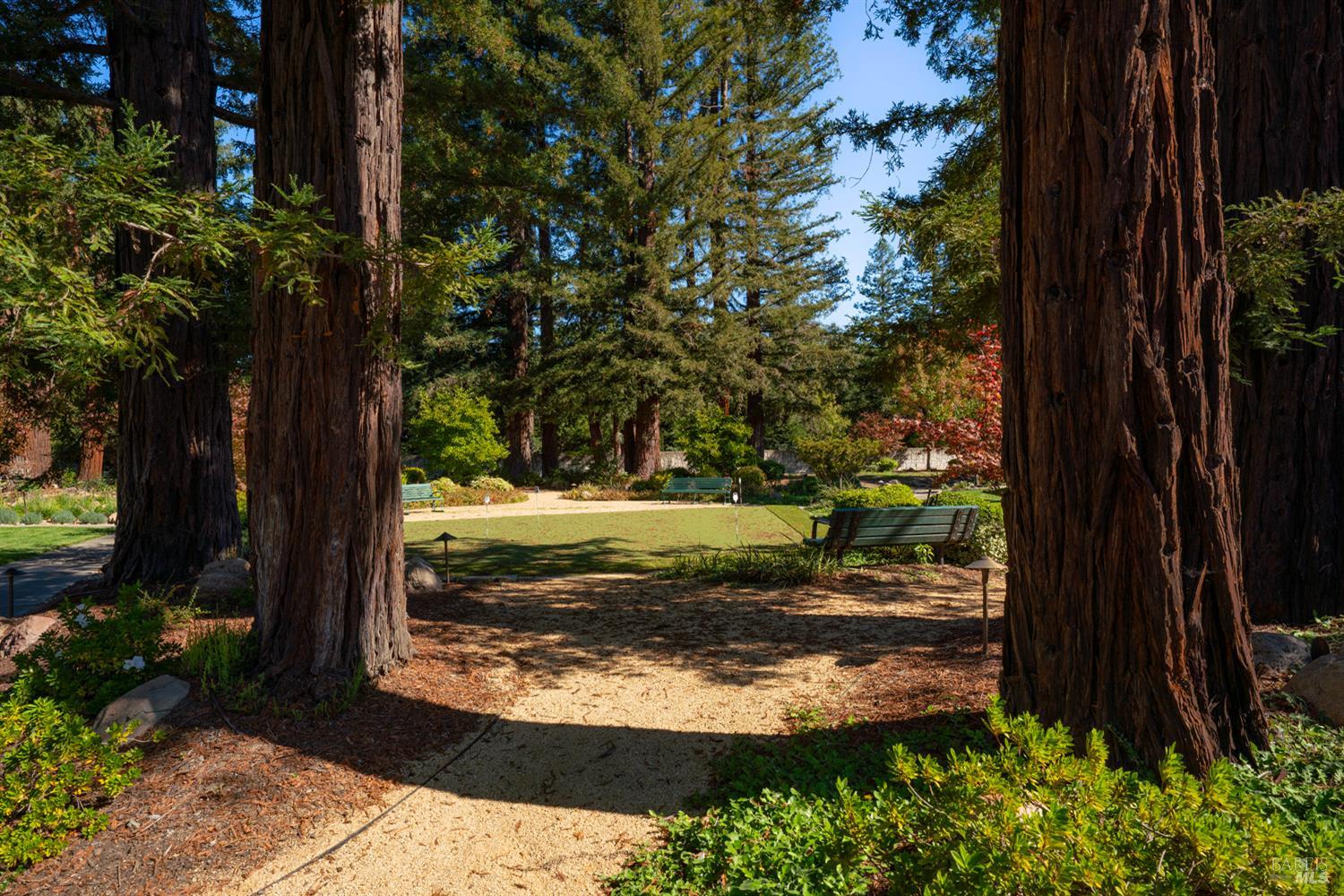 Detail Gallery Image 27 of 28 For 56 Laguna Seca Ct, Saint Helena,  CA 94574 - 3 Beds | 2 Baths