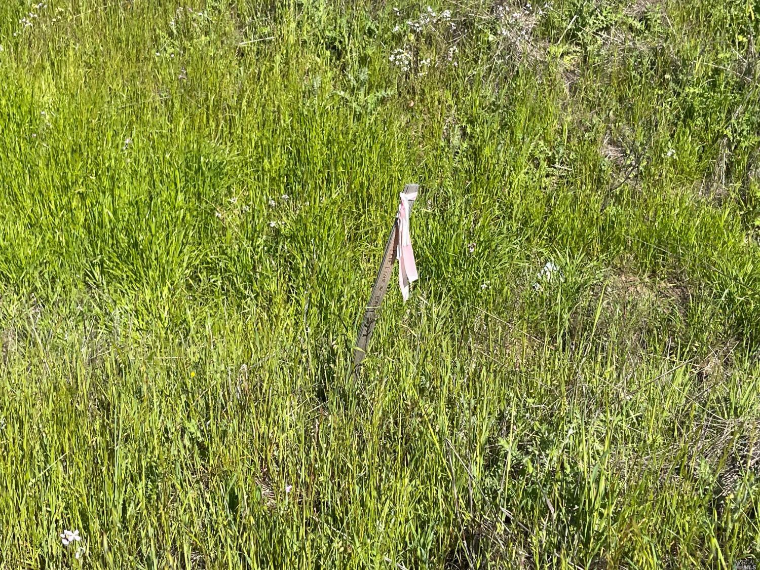 Detail Gallery Image 17 of 17 For 864 Los Alamos Rd, Santa Rosa,  CA 95409 - – Beds | – Baths