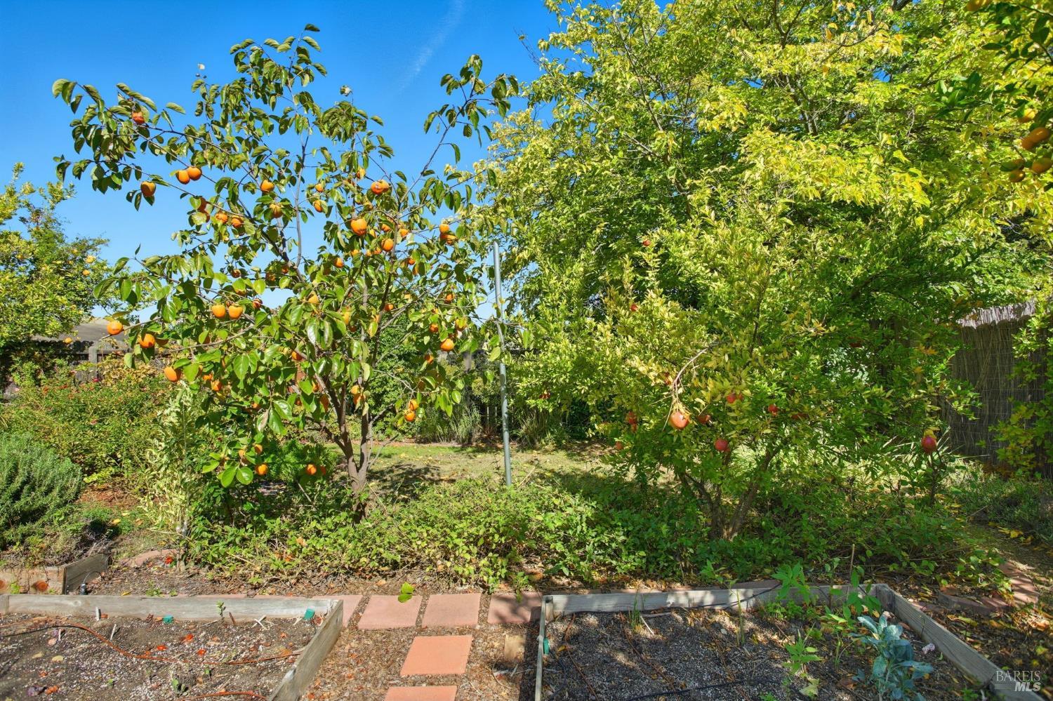 Detail Gallery Image 20 of 43 For 2420 Top Gallant Ct, Fairfield,  CA 94534 - 4 Beds | 2/1 Baths