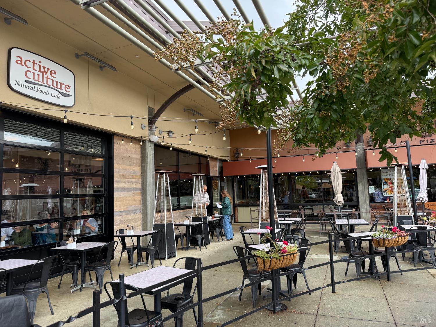 Detail Gallery Image 45 of 47 For 213 Deborah Ct, Novato,  CA 94949 - 4 Beds | 3 Baths