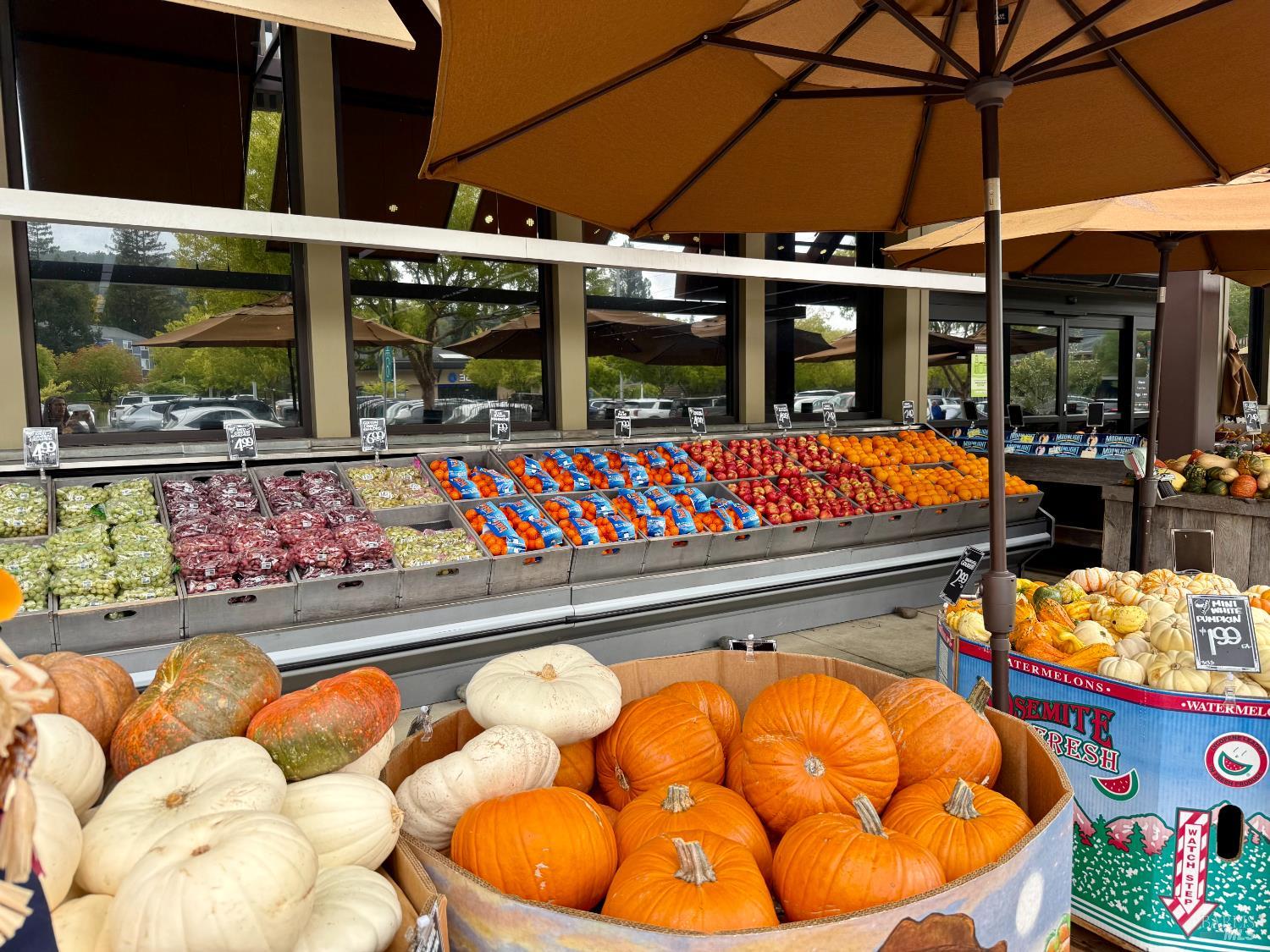 Detail Gallery Image 43 of 47 For 213 Deborah Ct, Novato,  CA 94949 - 4 Beds | 3 Baths