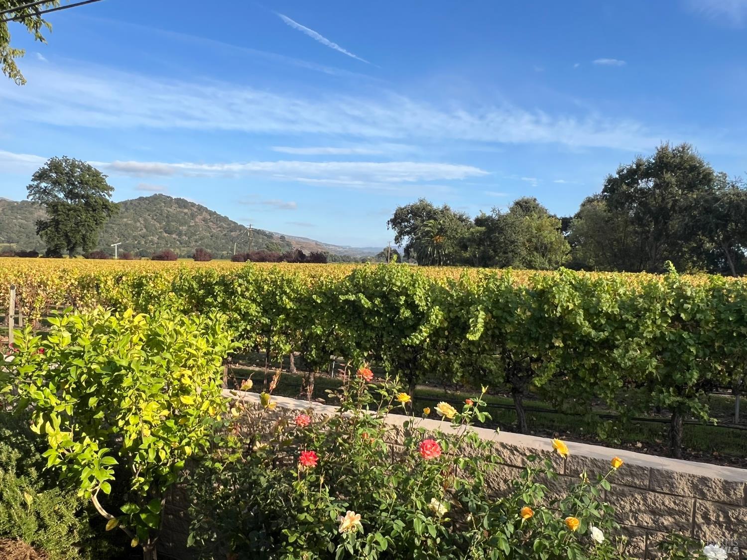 Detail Gallery Image 4 of 28 For 105 Claret Cir, Yountville,  CA 94559 - 2 Beds | 2 Baths