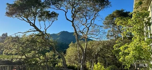 Detail Gallery Image 17 of 54 For 19 Cushing Dr, Mill Valley,  CA 94941 - 4 Beds | 3 Baths