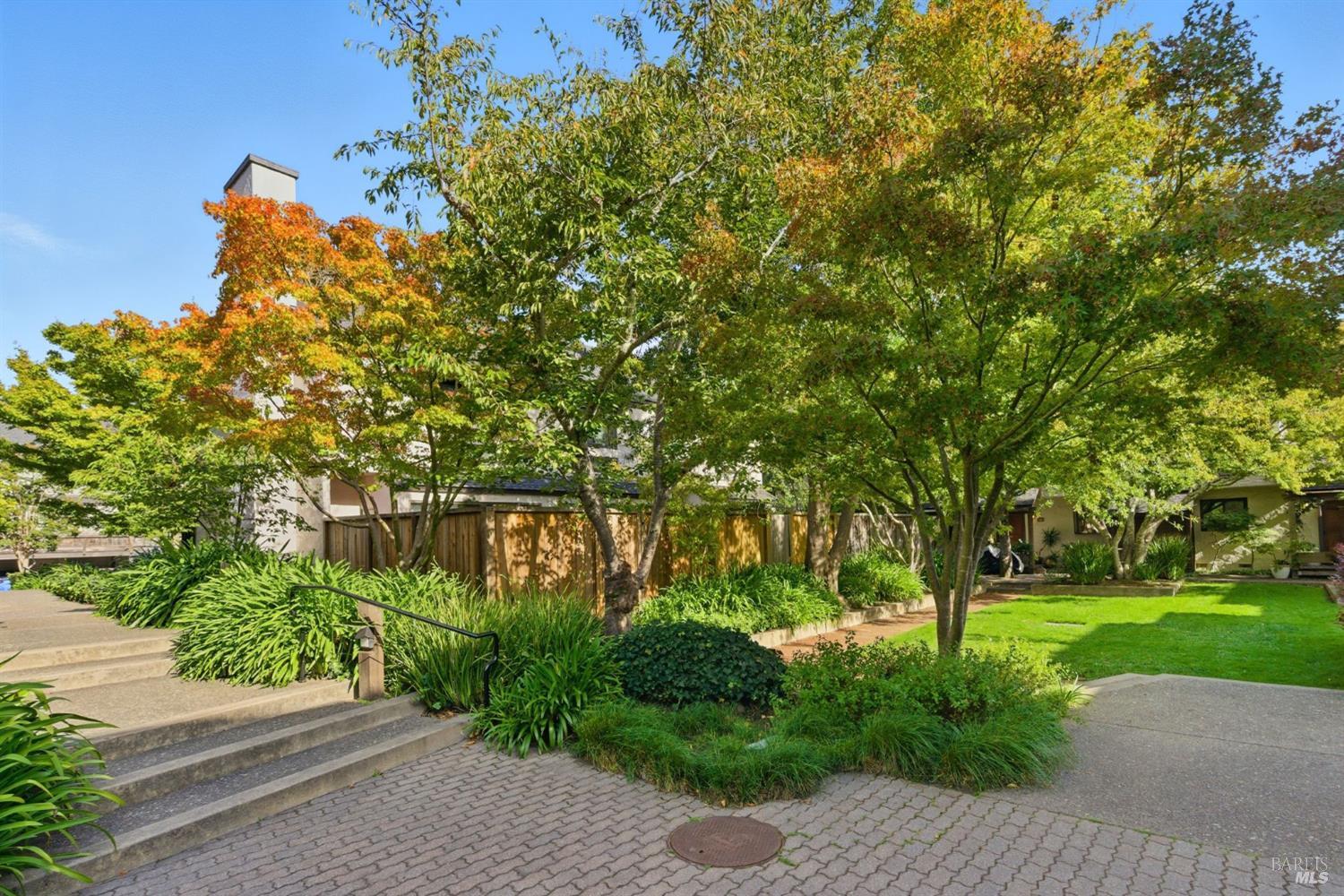 Detail Gallery Image 44 of 47 For 52 Park Ter, Mill Valley,  CA 94941 - 2 Beds | 1/1 Baths