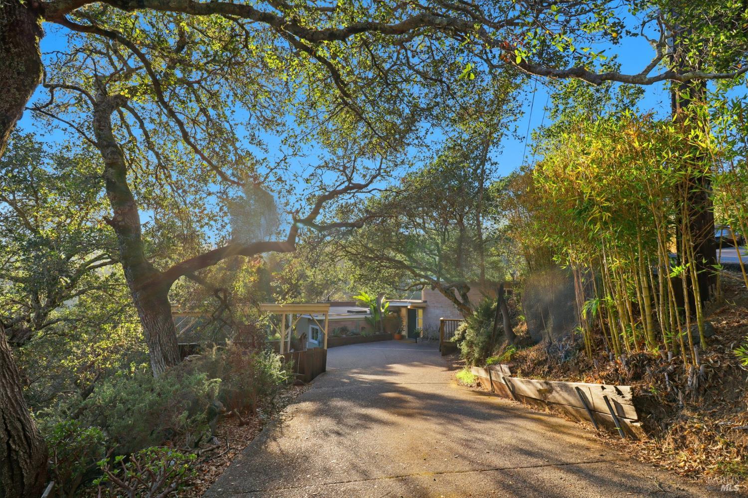 Detail Gallery Image 50 of 54 For 19 Cushing Dr, Mill Valley,  CA 94941 - 4 Beds | 3 Baths