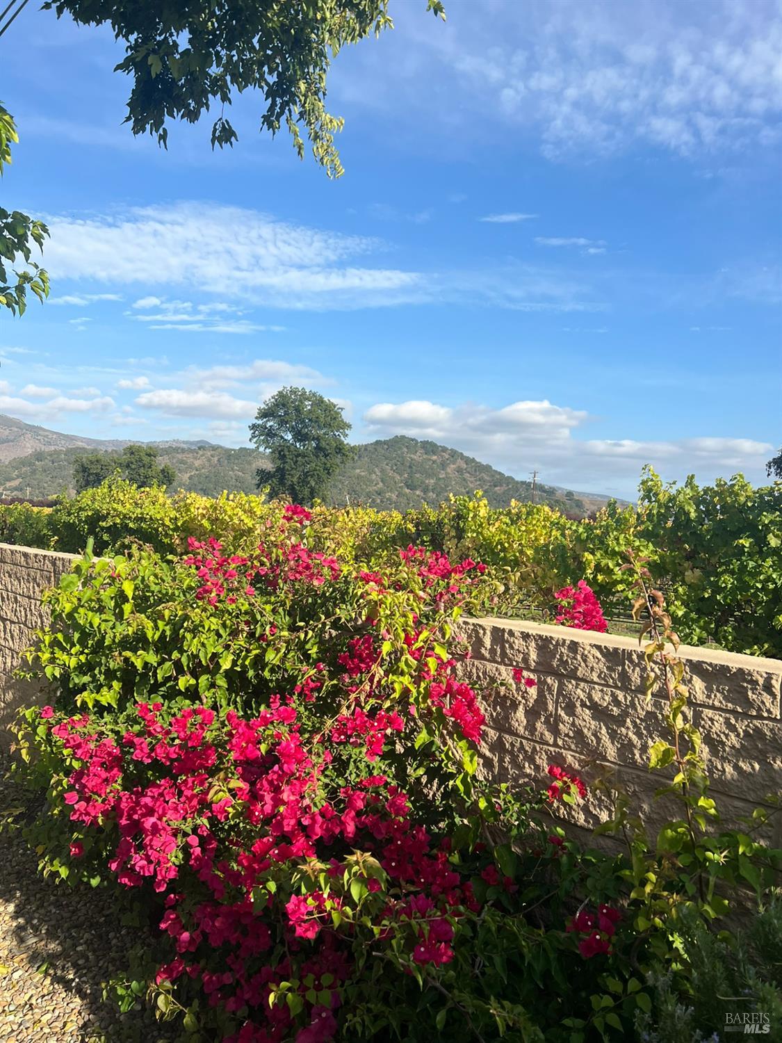 Detail Gallery Image 5 of 28 For 105 Claret Cir, Yountville,  CA 94559 - 2 Beds | 2 Baths