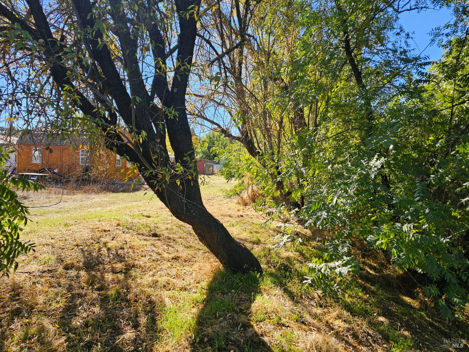 Detail Gallery Image 2 of 7 For 16165 Florence St, Lower Lake,  CA 95457 - – Beds | – Baths