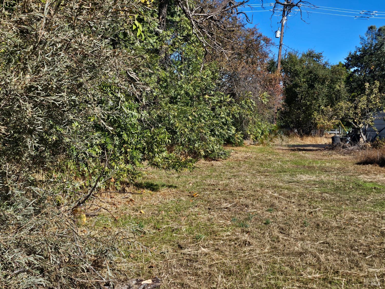 Detail Gallery Image 4 of 7 For 16165 Florence St, Lower Lake,  CA 95457 - – Beds | – Baths