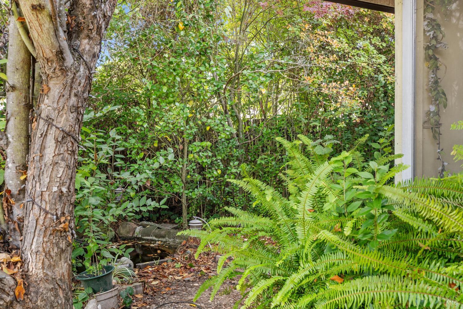 Detail Gallery Image 21 of 25 For 2320 Masterson Ct, Santa Rosa,  CA 95403 - 3 Beds | 2 Baths