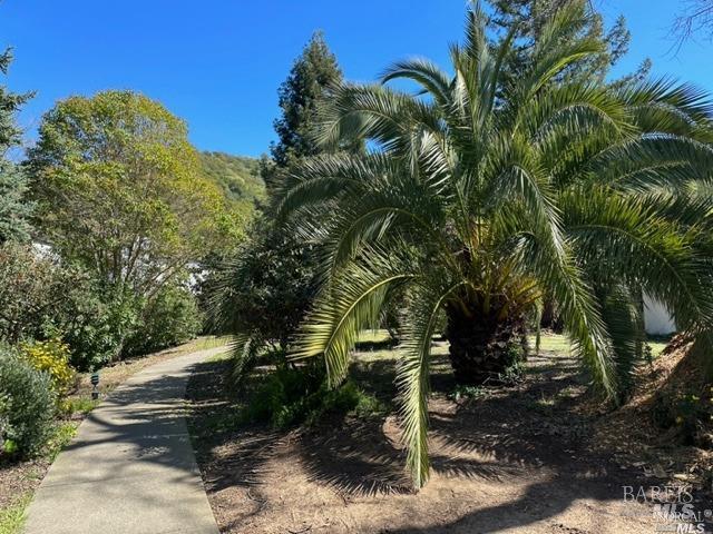 Detail Gallery Image 19 of 26 For 35 Village Cir, San Rafael,  CA 94903 - 1 Beds | 1 Baths