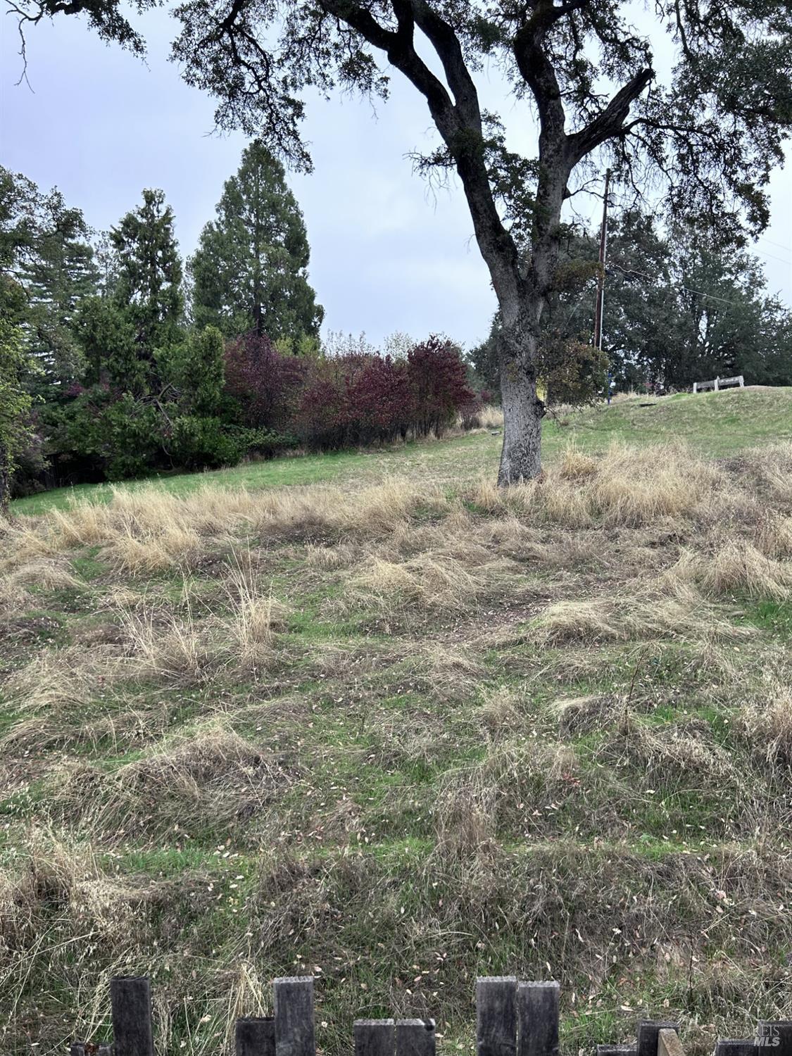 Detail Gallery Image 30 of 40 For 290 Robles Dr, Lakeport,  CA 95453 - 3 Beds | 2 Baths