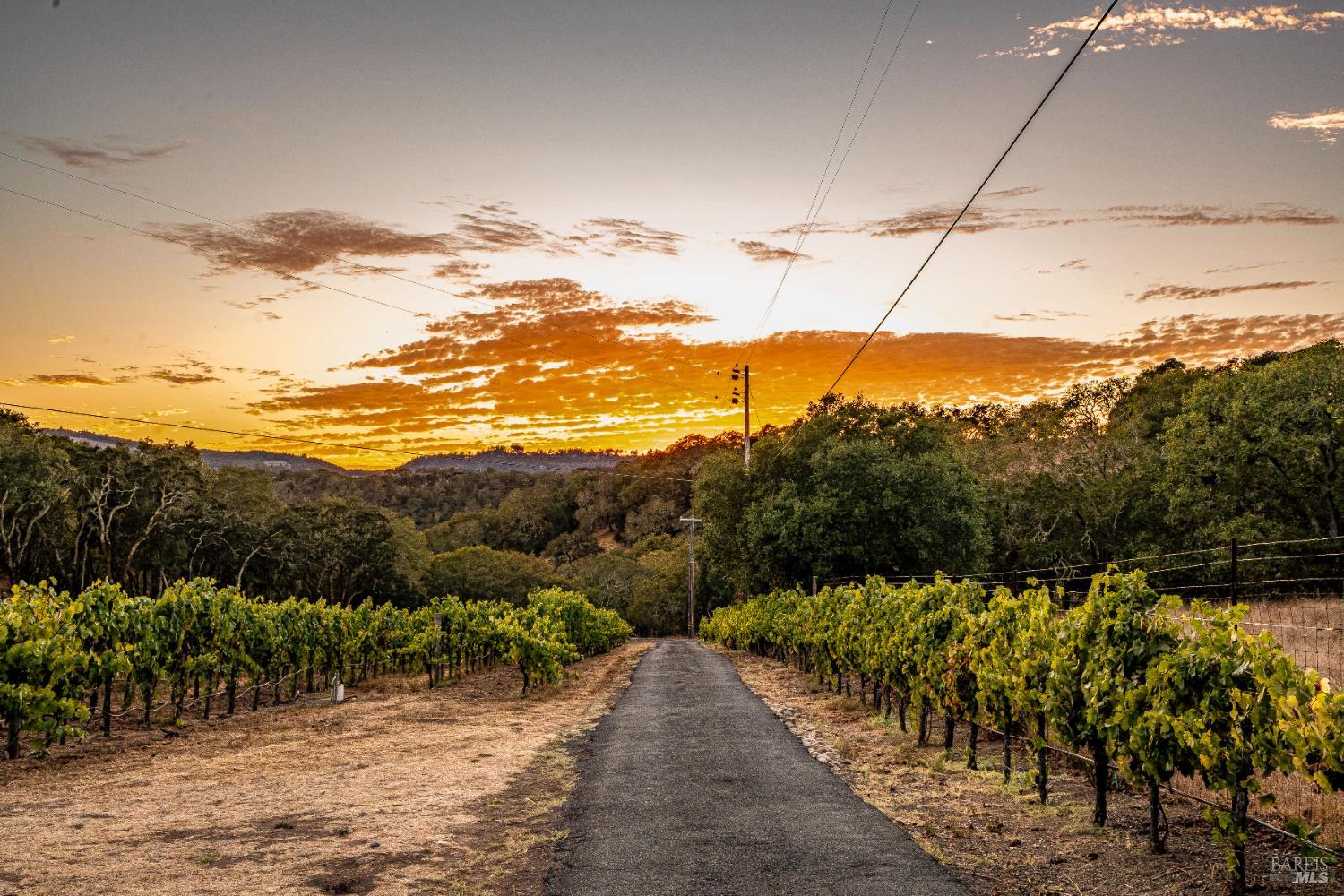 Detail Gallery Image 68 of 75 For 1790 Warm Springs Rd, Glen Ellen,  CA 95442 - 3 Beds | 3/1 Baths