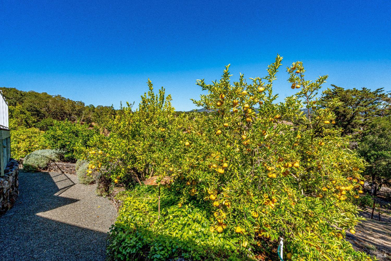 Detail Gallery Image 62 of 75 For 1790 Warm Springs Rd, Glen Ellen,  CA 95442 - 3 Beds | 3/1 Baths