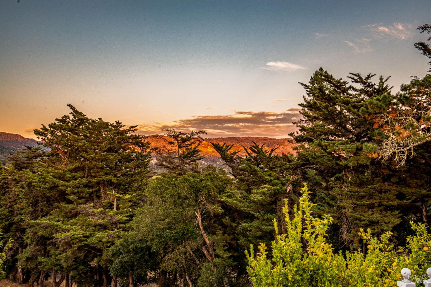 Detail Gallery Image 73 of 75 For 1790 Warm Springs Rd, Glen Ellen,  CA 95442 - 3 Beds | 3/1 Baths