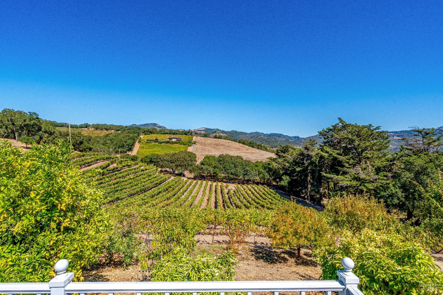 Detail Gallery Image 10 of 75 For 1790 Warm Springs Rd, Glen Ellen,  CA 95442 - 3 Beds | 3/1 Baths