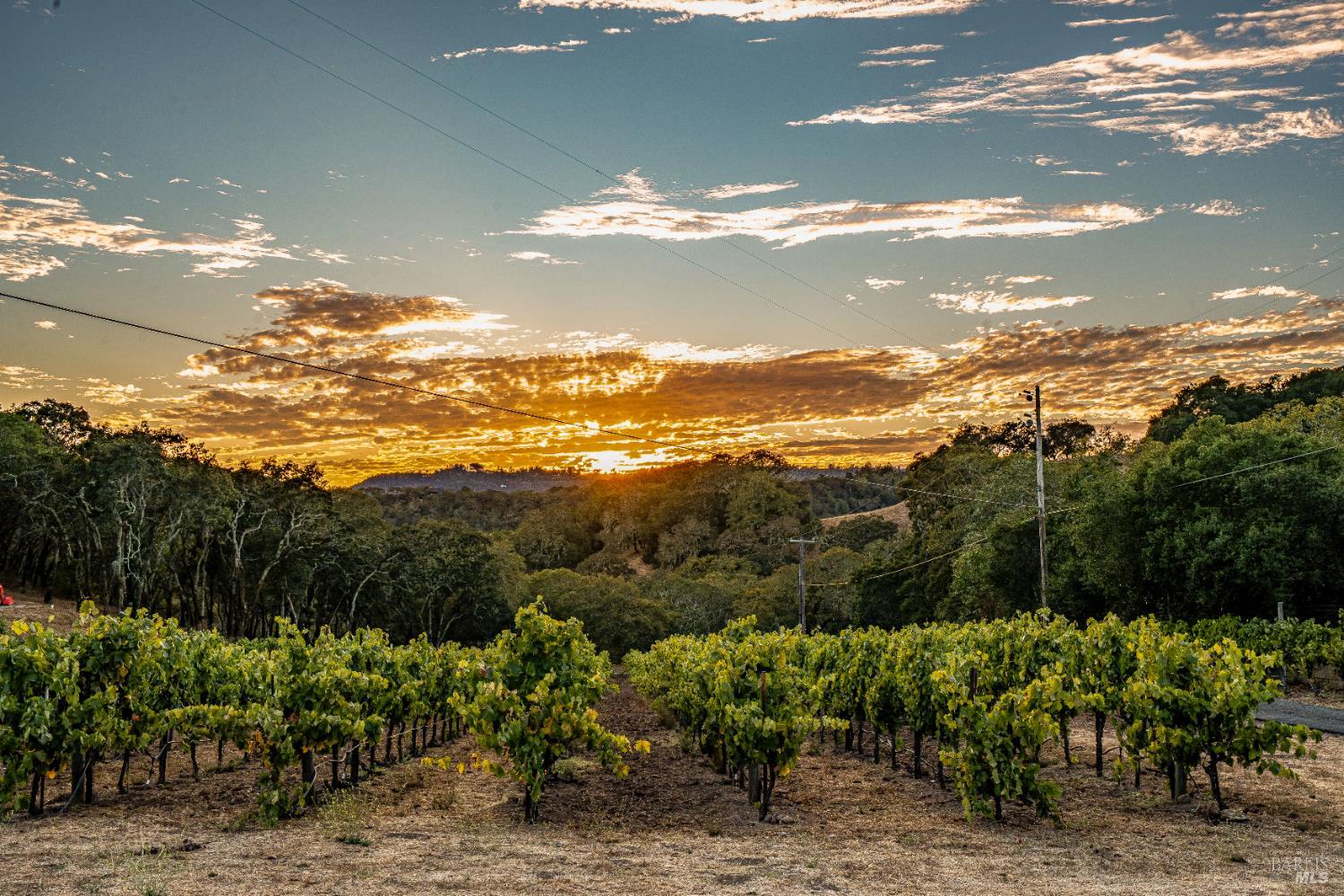 Detail Gallery Image 67 of 75 For 1790 Warm Springs Rd, Glen Ellen,  CA 95442 - 3 Beds | 3/1 Baths