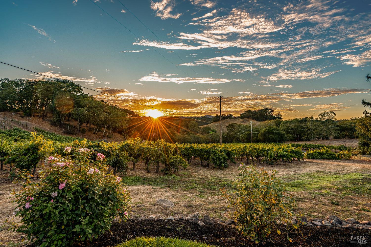 Detail Gallery Image 66 of 75 For 1790 Warm Springs Rd, Glen Ellen,  CA 95442 - 3 Beds | 3/1 Baths