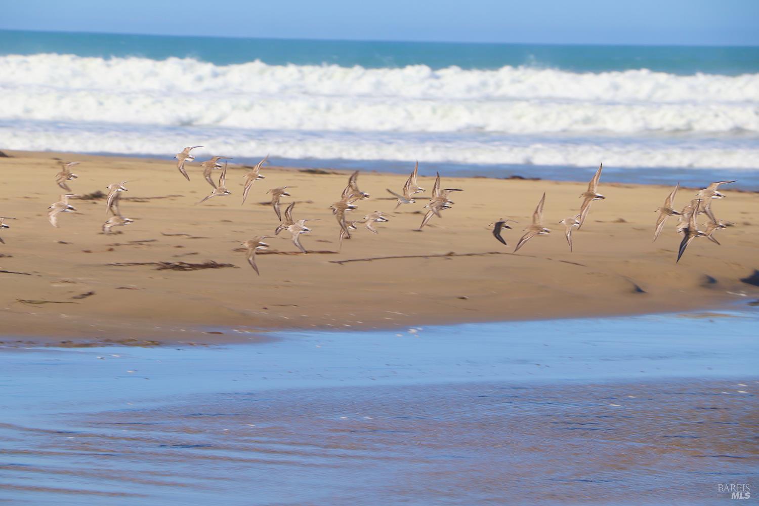 Detail Gallery Image 51 of 51 For 175 Tahiti St, Morro Bay,  CA 93442 - 3 Beds | 2 Baths