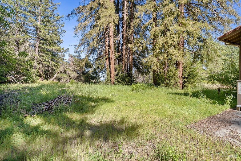 Detail Gallery Image 21 of 43 For 3500 Mount Veeder Rd, Napa,  CA 94558 - 3 Beds | 2 Baths