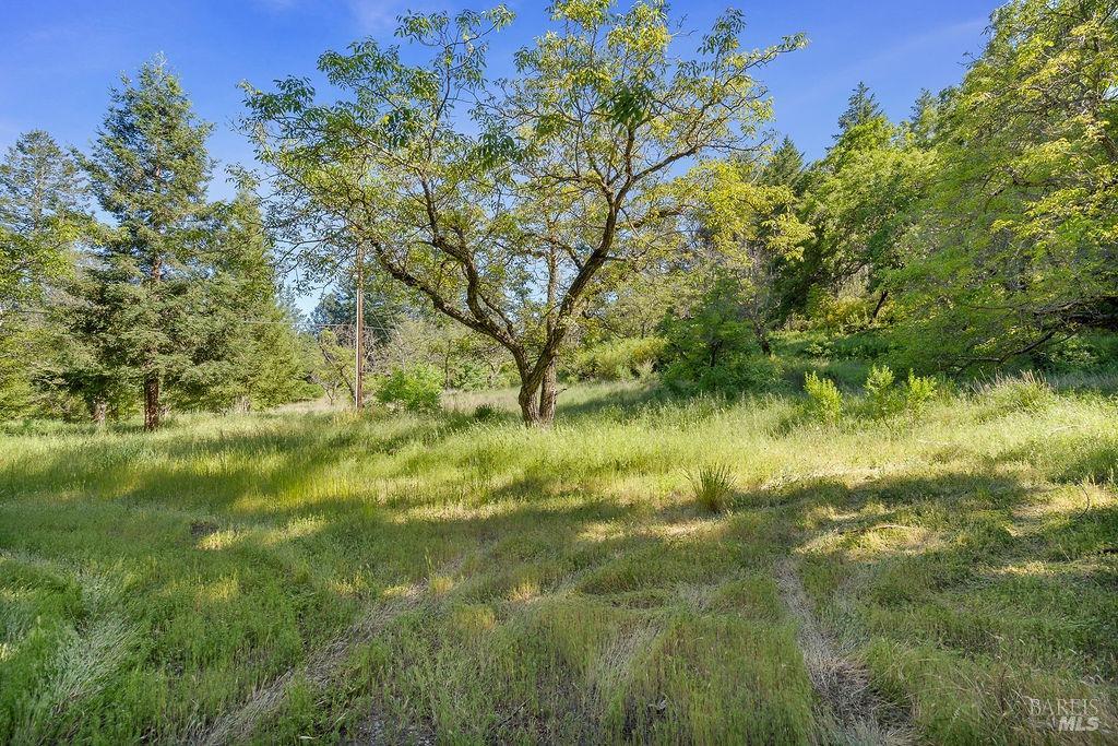 Detail Gallery Image 36 of 43 For 3500 Mount Veeder Rd, Napa,  CA 94558 - 3 Beds | 2 Baths