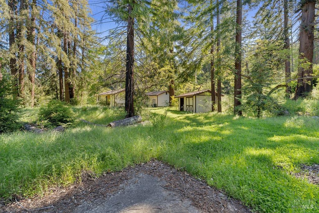 Detail Gallery Image 31 of 43 For 3500 Mount Veeder Rd, Napa,  CA 94558 - 3 Beds | 2 Baths
