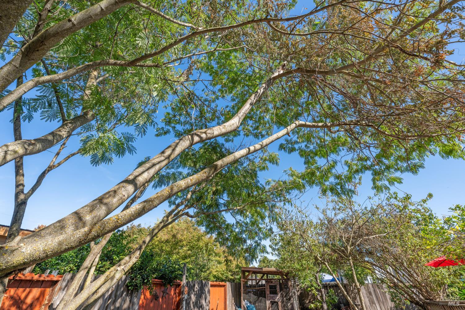 Detail Gallery Image 48 of 54 For 709 W 8th St, Santa Rosa,  CA 95401 - 3 Beds | 2 Baths