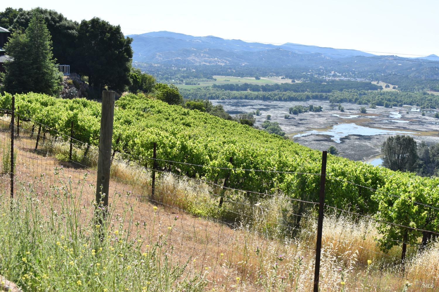 Detail Gallery Image 32 of 45 For 7490 Walnut Ln, Lower Lake,  CA 95457 - 3 Beds | 2/1 Baths