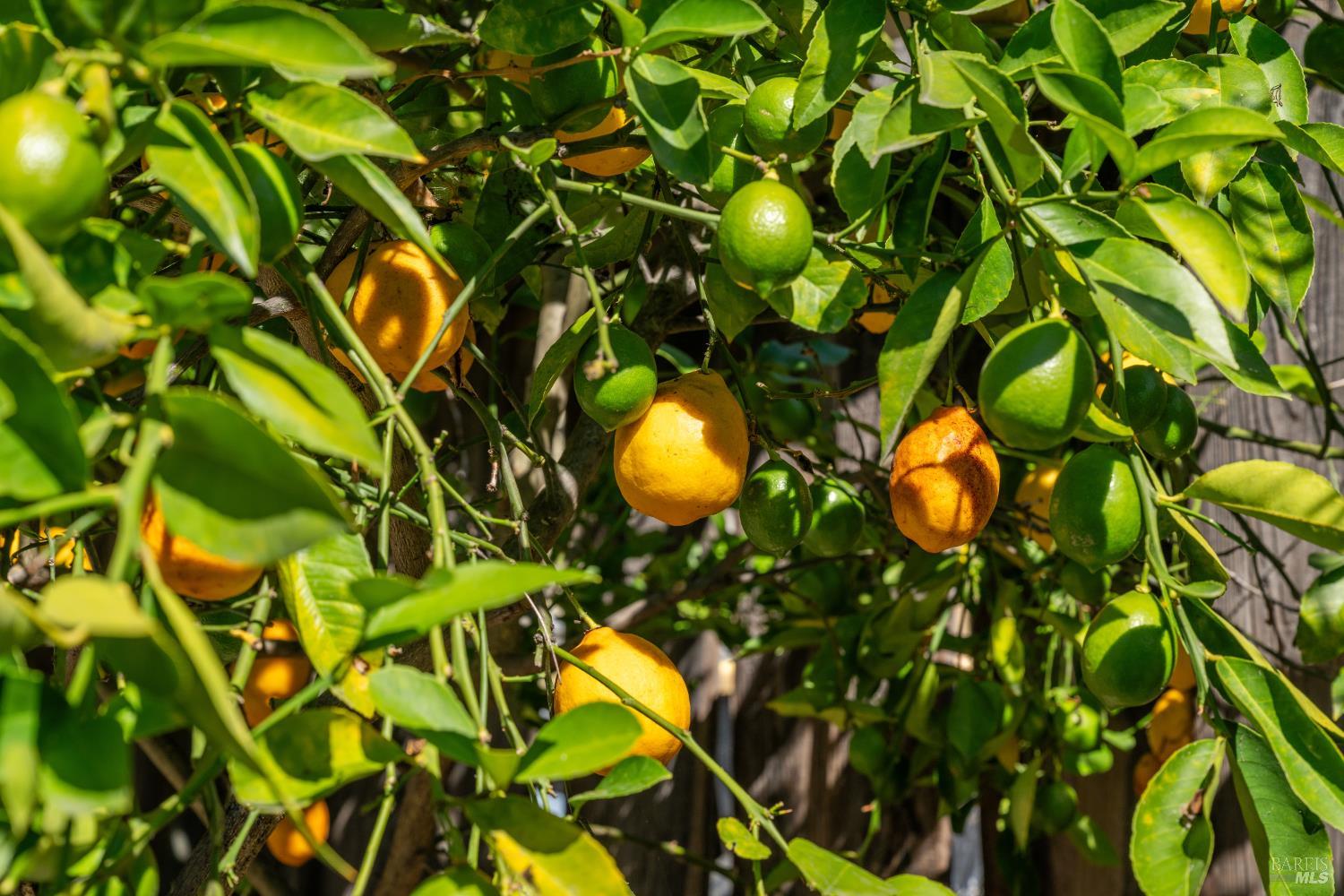 Detail Gallery Image 41 of 54 For 709 W 8th St, Santa Rosa,  CA 95401 - 3 Beds | 2 Baths