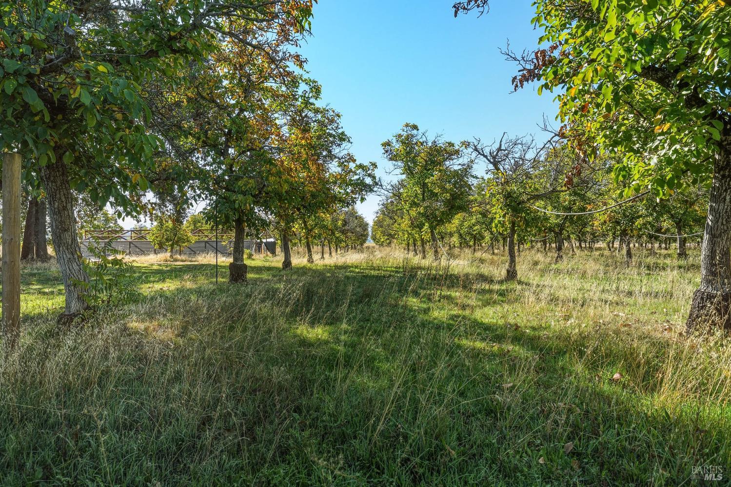 Detail Gallery Image 66 of 76 For 2427 Argonaut Rd, Finley,  CA 95453 - 3 Beds | 2 Baths
