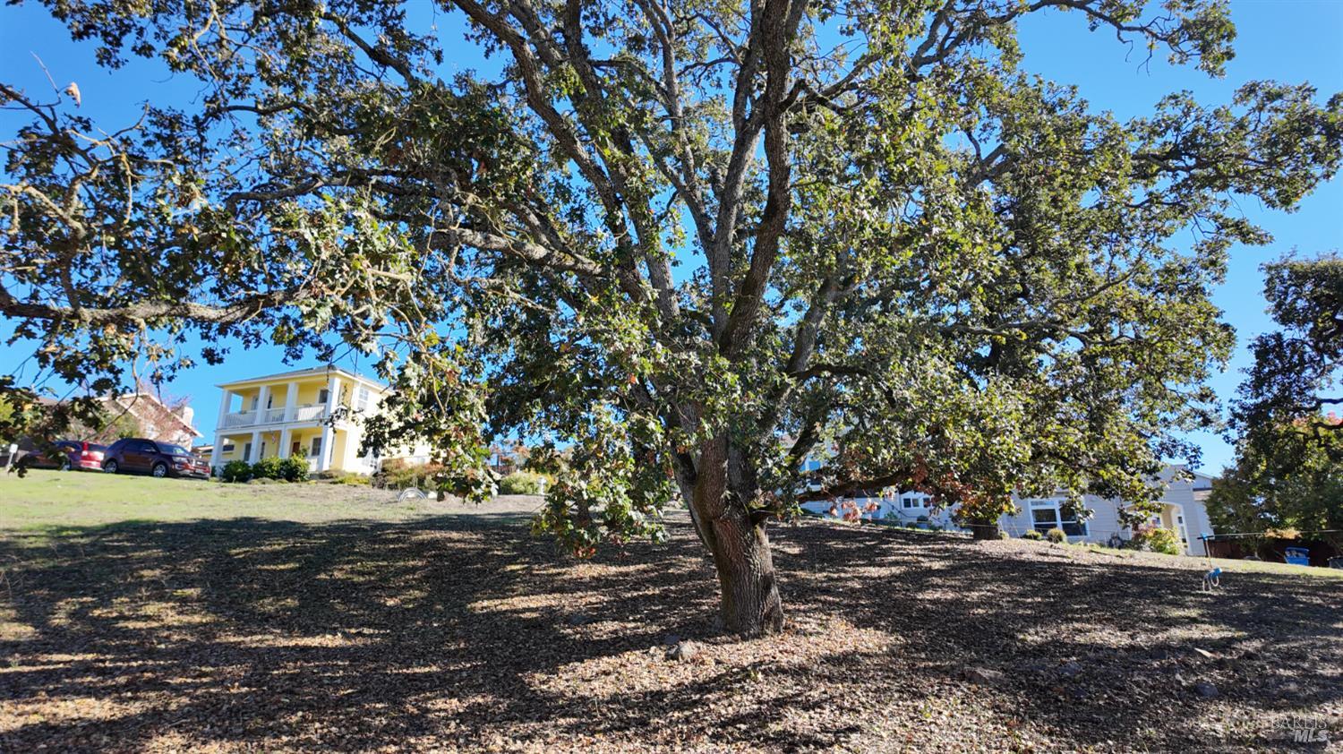 Detail Gallery Image 8 of 17 For 1960 Cooper Dr, Santa Rosa,  CA 95404 - – Beds | – Baths