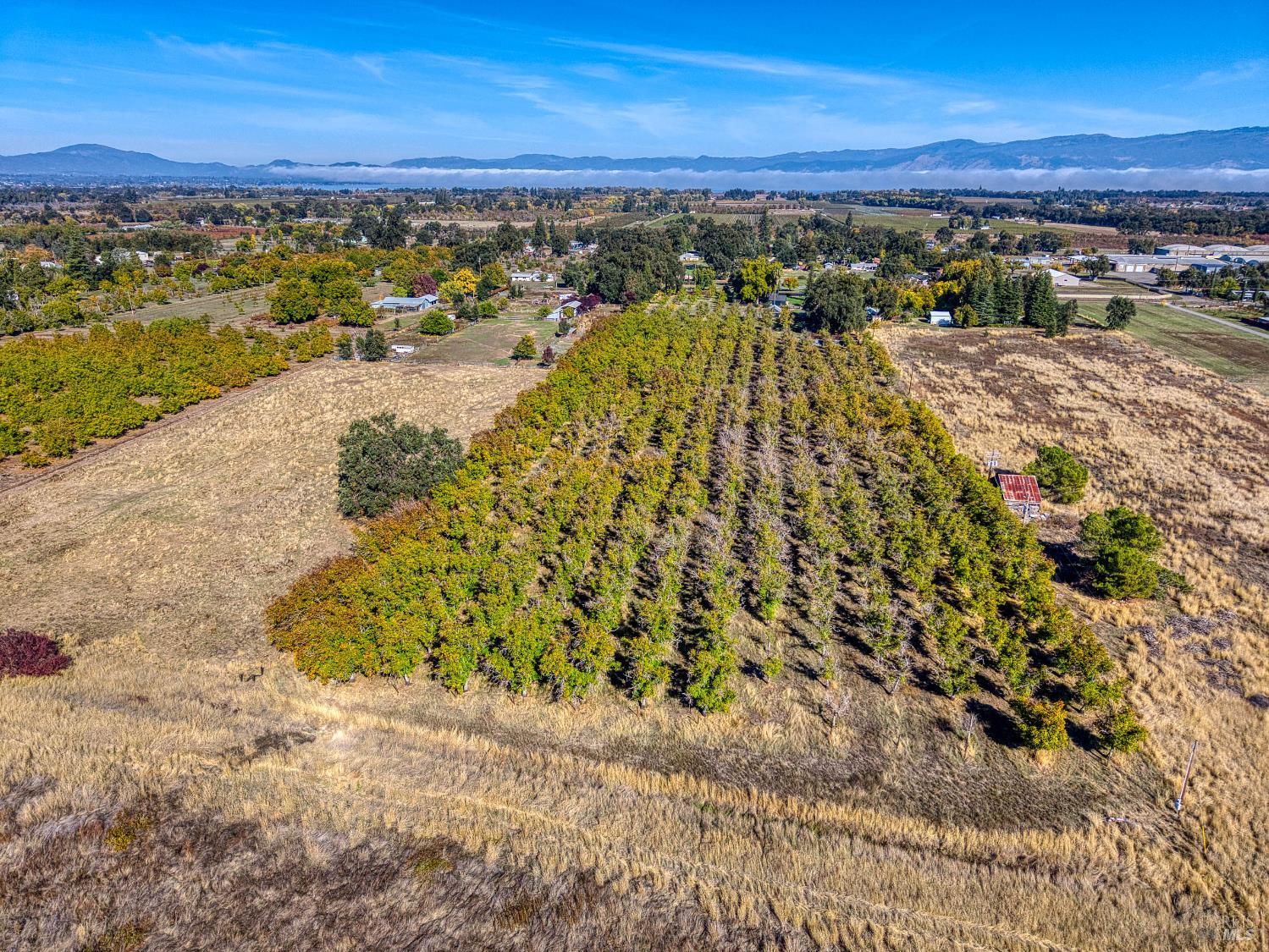 Detail Gallery Image 69 of 76 For 2427 Argonaut Rd, Finley,  CA 95453 - 3 Beds | 2 Baths
