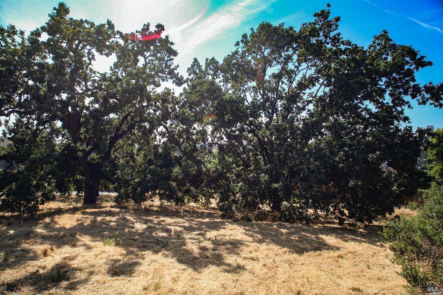 Detail Gallery Image 2 of 17 For 1960 Cooper Dr, Santa Rosa,  CA 95404 - – Beds | – Baths