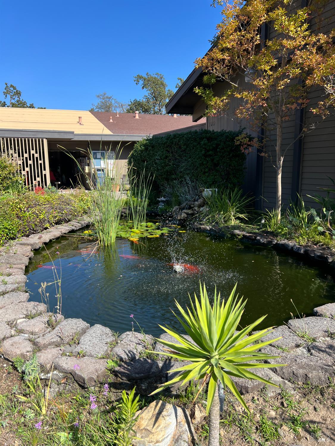 Detail Gallery Image 29 of 31 For 121 Panorama Dr, Novato,  CA 94949 - 2 Beds | 2 Baths