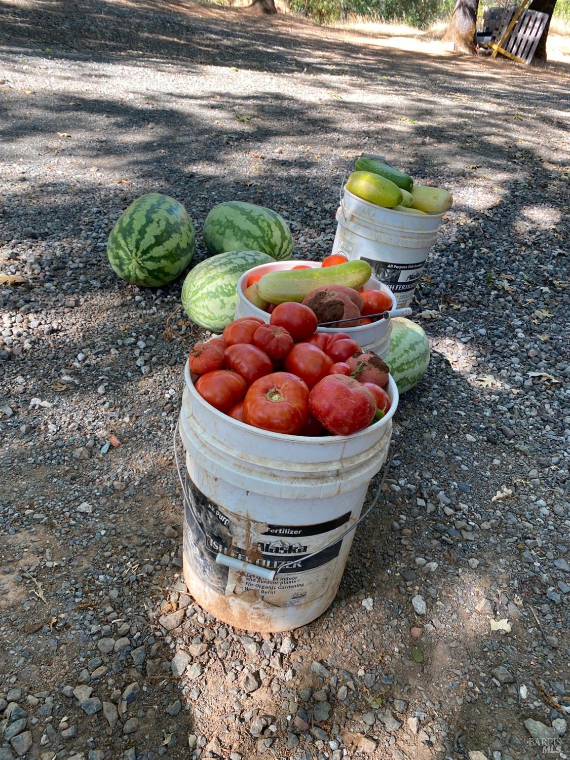 Detail Gallery Image 76 of 84 For 19801 Kelly Rd, Geyserville,  CA 95441 - 2 Beds | 3 Baths