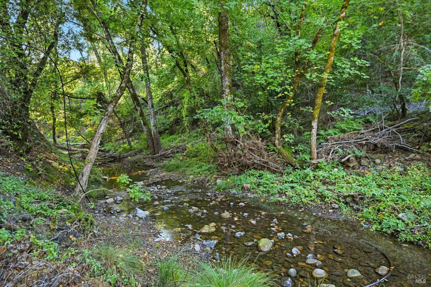 Detail Gallery Image 33 of 60 For 5251 Dry Creek Rd, Napa,  CA 94558 - 2 Beds | 2 Baths