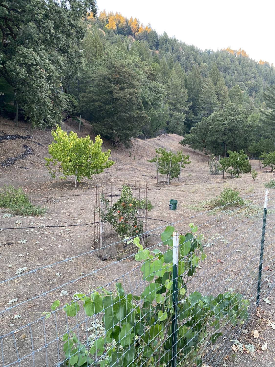 Detail Gallery Image 58 of 84 For 19801 Kelly Rd, Geyserville,  CA 95441 - 2 Beds | 3 Baths