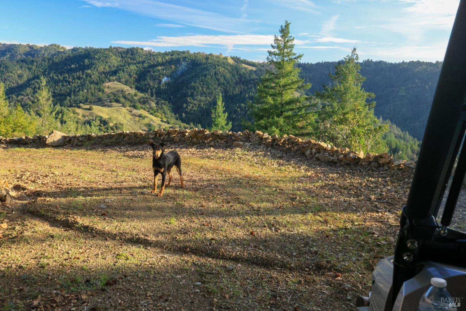 Detail Gallery Image 23 of 84 For 19801 Kelly Rd, Geyserville,  CA 95441 - 2 Beds | 3 Baths