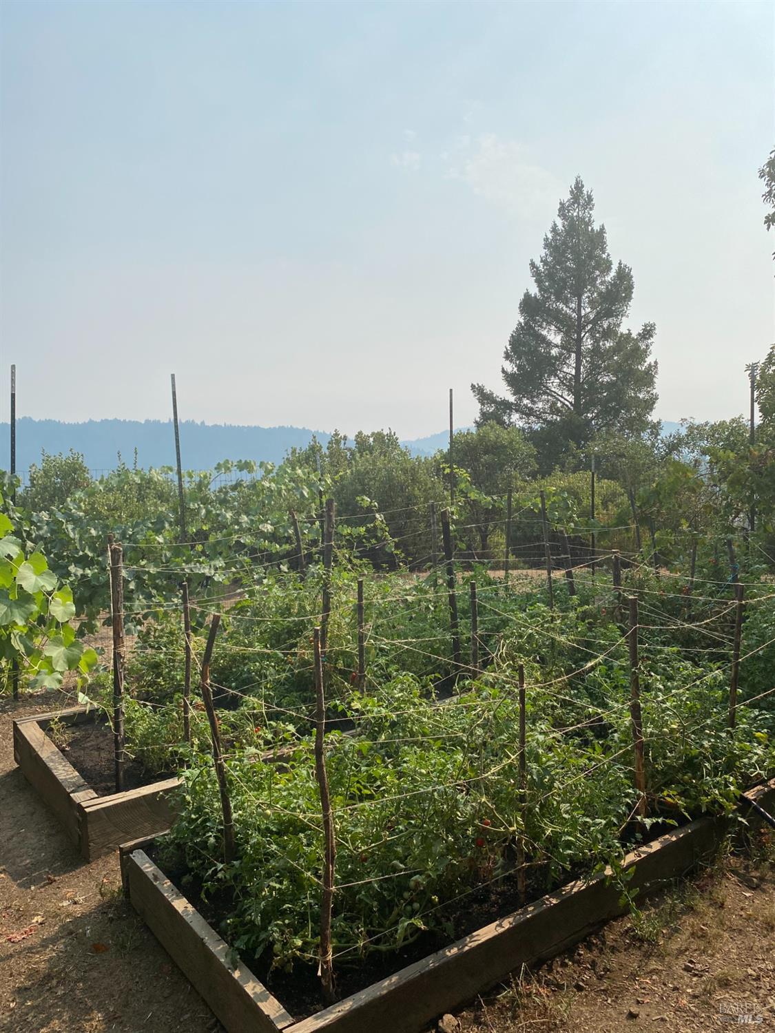 Detail Gallery Image 78 of 84 For 19801 Kelly Rd, Geyserville,  CA 95441 - 2 Beds | 3 Baths